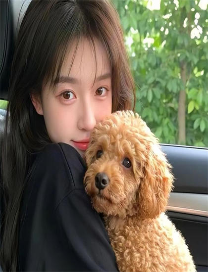 花落知多少有什么特别之处？独特看点与特色解构解析，4K超清